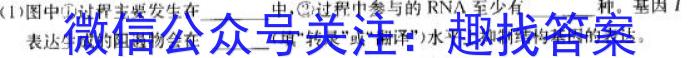 广东省2024年4月高一阶段性联合质量检测卷生物学试题答案