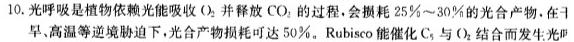 1号卷 A10联盟2025届高三上学期8月底开学摸底考生物学部分