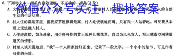 2024河南省中考学业备考全真模拟试卷（6.13）语文