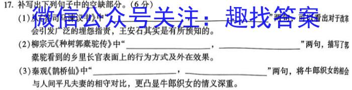 三湘名校教育联盟·2024年上学期高二期中大联考语文