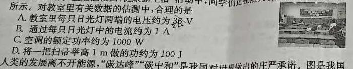 山西省第十九中学2024-2025学年上学期高一入学考试(物理)试卷答案