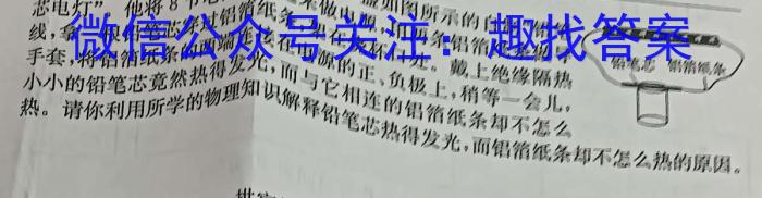 2024年河南省中招第一次模拟考试试卷（4.8）物理试卷答案