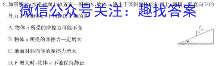 2024届单科模拟04l物理
