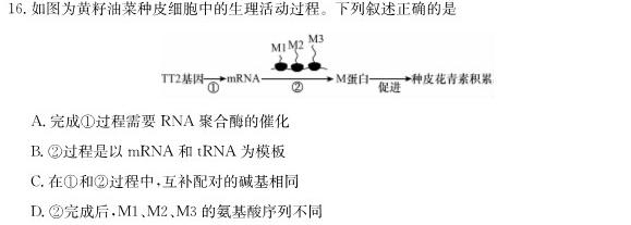 安徽省金安24届高三年级考前适应性考试(24-452C)生物