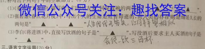 文博志鸿·河南省2023-2024学年九年级第一学期学情分析二B/语文