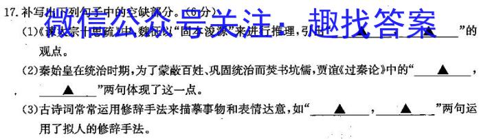 河南省宁陵县2023-2024学年度九年级上学期期末考试/语文
