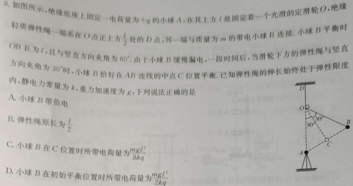 [今日更新]伯乐马 2024年普通高等学校招生新高考模拟考试(六)6.物理试卷答案