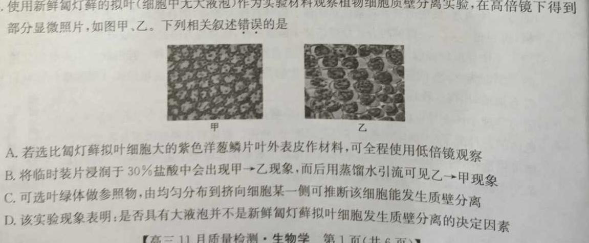 新疆2024年高三第二次诊断性测试模拟考试卷生物