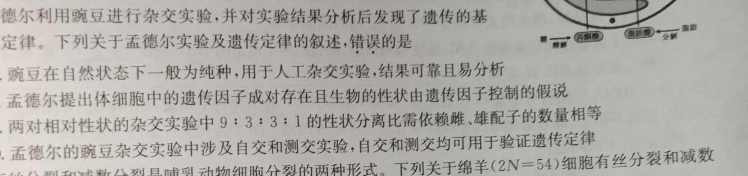 衡水金卷先享题月考卷 2023-2024学年度上学期高三六调(湖南专版)考试生物学部分