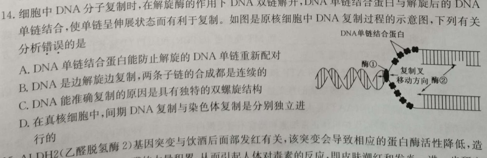 湖北省2024年高二9月起点考试生物学部分