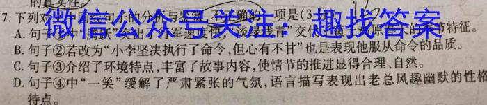 豫智教育 2024年河南省中招极品仿真试卷(B)语文