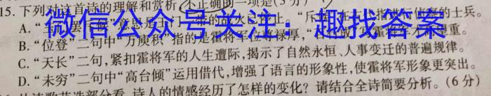 河北省张家口市桥西区2023-2024学年度第一学期九年级期末学情诊断测试语文