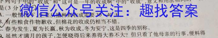 江西省2023-2024学年度七年级上学期期末综合评估4L R-JX/语文