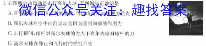 天一大联考 2023-2024学年高二年级阶段性测试(二)物理试卷答案