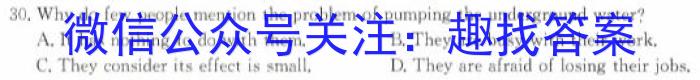 山西省临汾市洪洞县2023-2024学年九年级第一学期期末质量监测考试英语