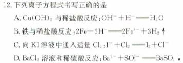 【热荐】衡水金卷先享题月考卷 2023-2024学年度上学期高三六调(新高考无角标)考试化学