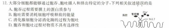 江西省2023-2024学年度九年级期末练习(四)4生物学部分