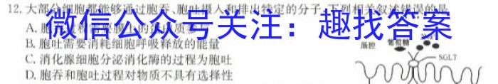 上进联考 2024年高二年级下学期期中调研测试生物学试题答案