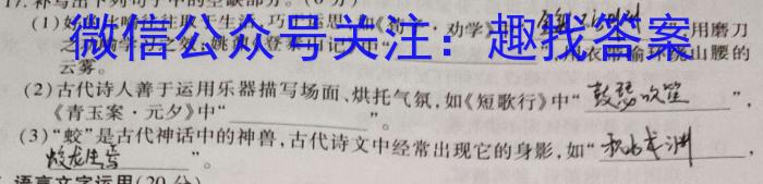 江西省九江市永修县某校2023-2024学年度下学期九年级阶段（一）质量检测试卷语文