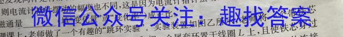 天一大联考 湖南省2024届高三5月联考物理试卷答案