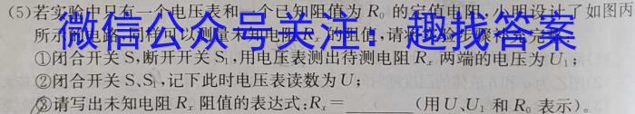 湖南省长沙市一中2024届高考适应性演练(二)2物理试卷答案