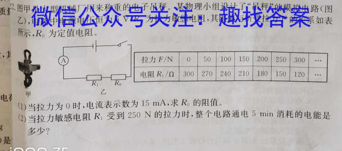 河北省2024年初三模拟演练（八）物理`