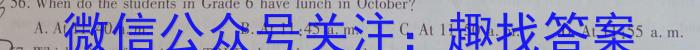 京师测评2024安徽省高三质量联合检测试卷(5.5)英语