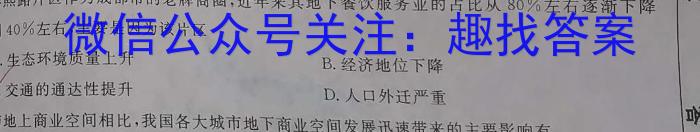 [今日更新]2024届乐山市高中第三次调查研究考试地理h