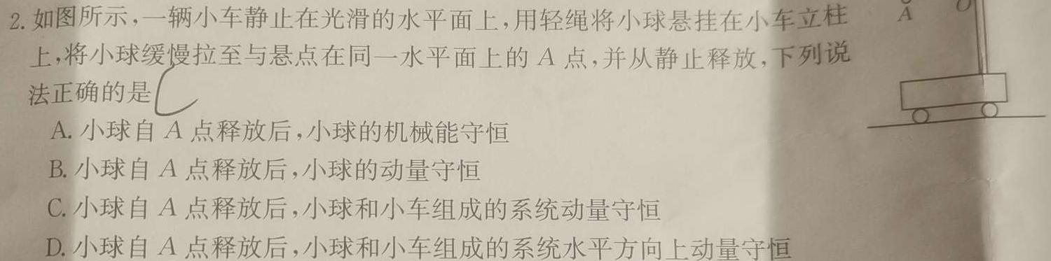 湖北省高中名校联盟2024届高三第三次联合测评物理试题.