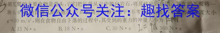 2024年河南省七年级中招阶梯性复习模拟试卷(四)(A)物理试题答案