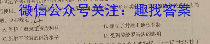 天一大联考 湖南省2024届高三2月联考历史