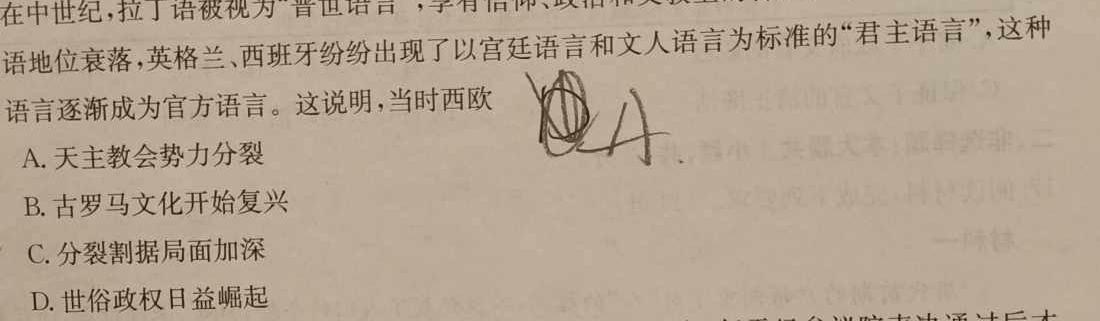 河南省2023～2024学年度七年级下学期期中综合评估[6L-HEN](历史)试卷答案