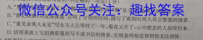 天一大联考·安徽省2023-2024学年度高二年级下学期第一次联考（3月）/语文