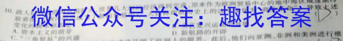 安徽省2024年中考密卷·先享模拟卷(三)3历史试卷答案