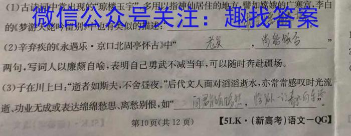 金科大联考·河北省2024届高三12月质量检测（24328C-A)/语文