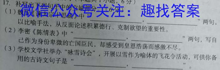 黄冈八模 2024届高三模拟测试卷(六)6/语文