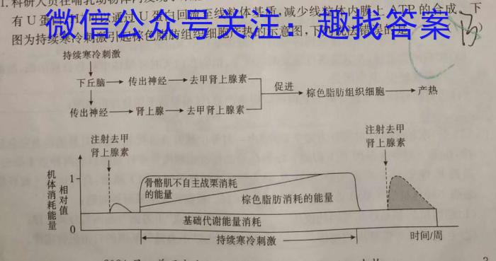 2024年陕西省初中学业水平考试 YJ②生物学试题答案