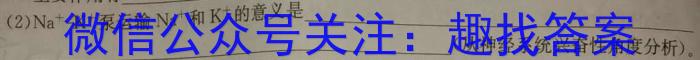 湖南省2024届高三冲刺压轴大联考生物学试题答案