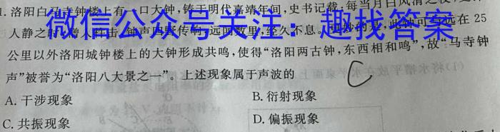 湖南省益阳市2024届高三十校联考第一次模拟考试物理试卷答案