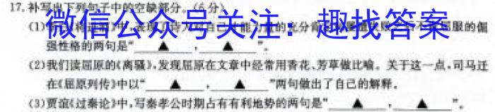 安徽省马鞍山市2025届九年级开学考试语文