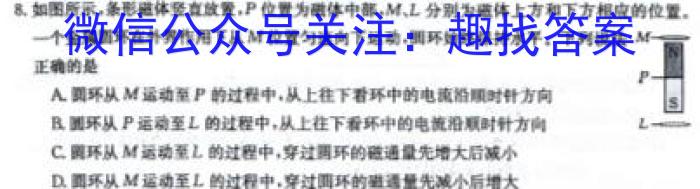 2024-2025学年第一学期浙江省高二年级名校协作体物理试题答案