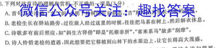 陕西省2023-2024学年度七年级第二学期期末教学质量监测(卷)语文