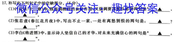 山东省肥城市3024-2025学年高三上学期9月联考语文