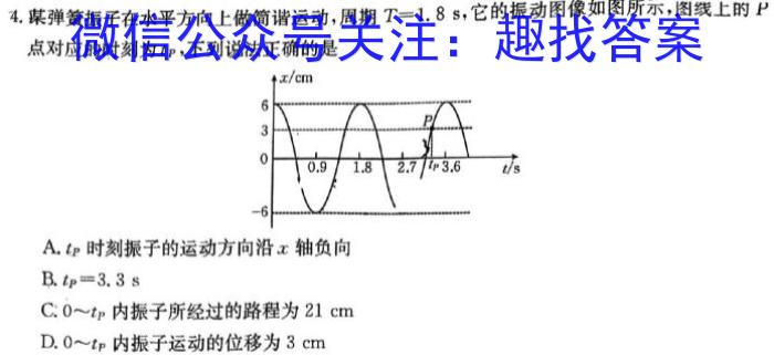 河南省2024年九年级中考仿真检测试卷q物理