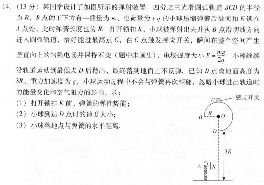 [今日更新]河北省邢台市2023-2024学年高三(上)期末测试(24-233C).物理试卷答案