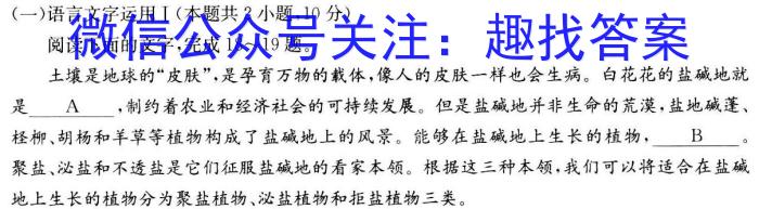 2023-2024学年高三试卷5月百万联考(锥形瓶)语文