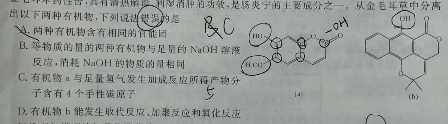 1河北省2024届高三年级大数据应用调研联合测评（III）化学试卷答案