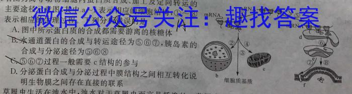 环际大联考“逐梦计划”2023-2024学年度高一年级第一学期阶段考试（三）生物学试题答案