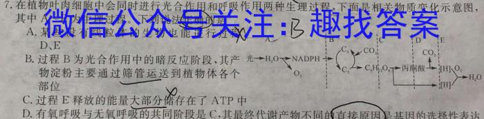 2024年普通高等学校招生全国统一考试仿真模拟金卷(四)生物学试题答案