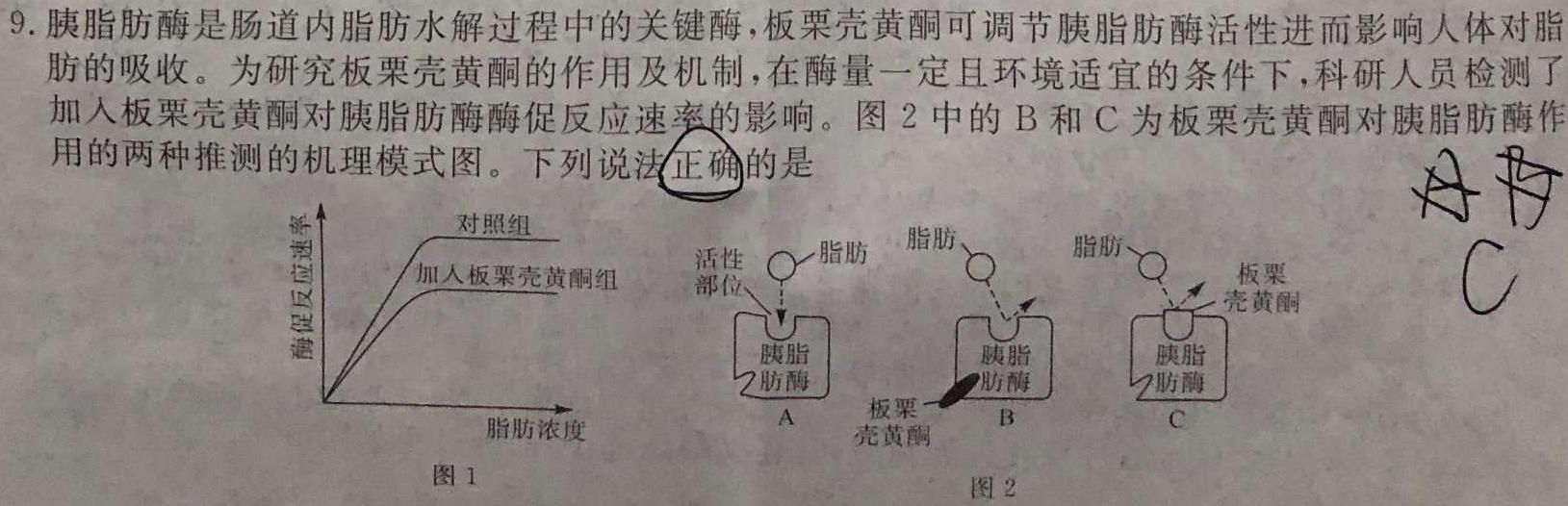 衡水金卷先享题2024答案调研卷(河北专版)4生物学部分